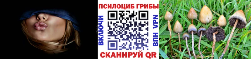 Псилоцибиновые грибы прущие грибы  Брюховецкая 
